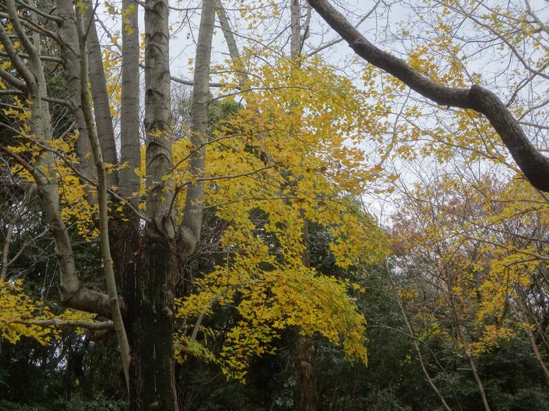 2025-12_SEITA4.jpg(123663 byte)